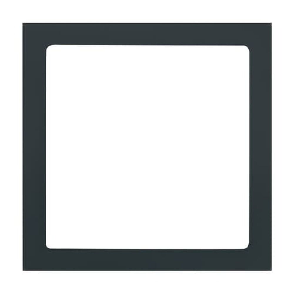 Busch-Jaeger Zentralscheibe 1716-81 Nr. 2CKA001731A1921