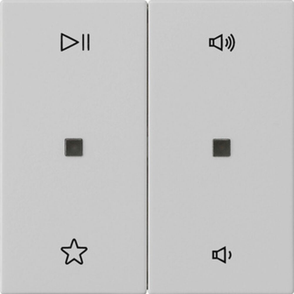 Gira Wippe 2fach 5384015