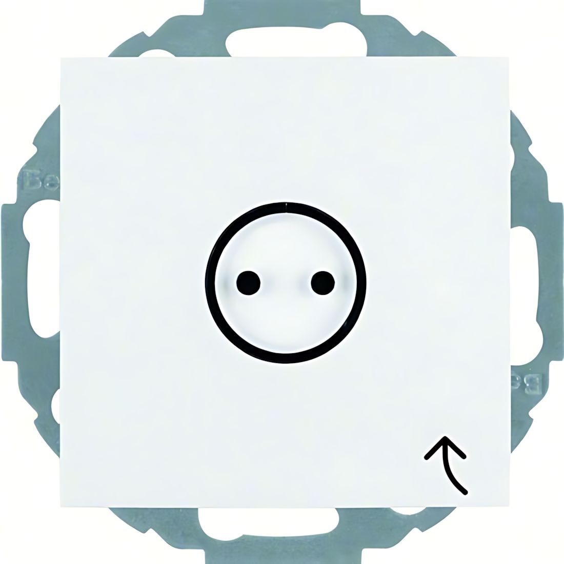 Berker Steckdose 47441949