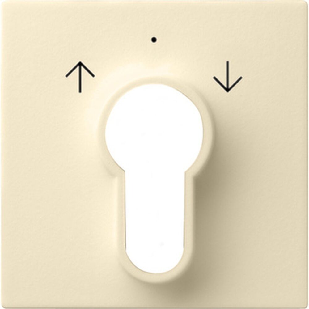 Gira Abdeckung Schlüsselschalter 066401