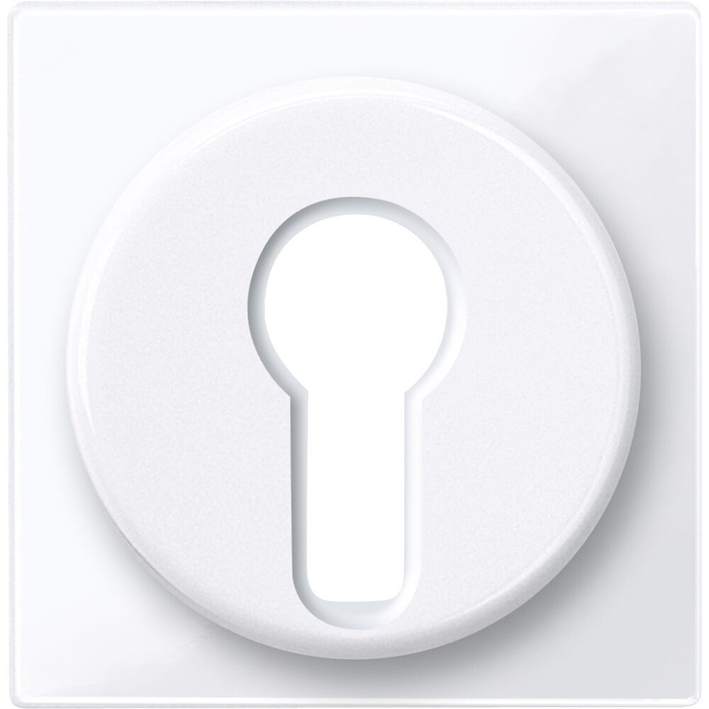 Merten Zentralplatte 319525