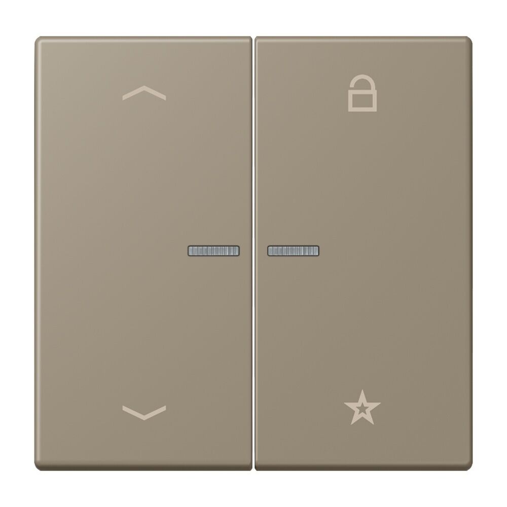 Jung Taster FMLC1701P242