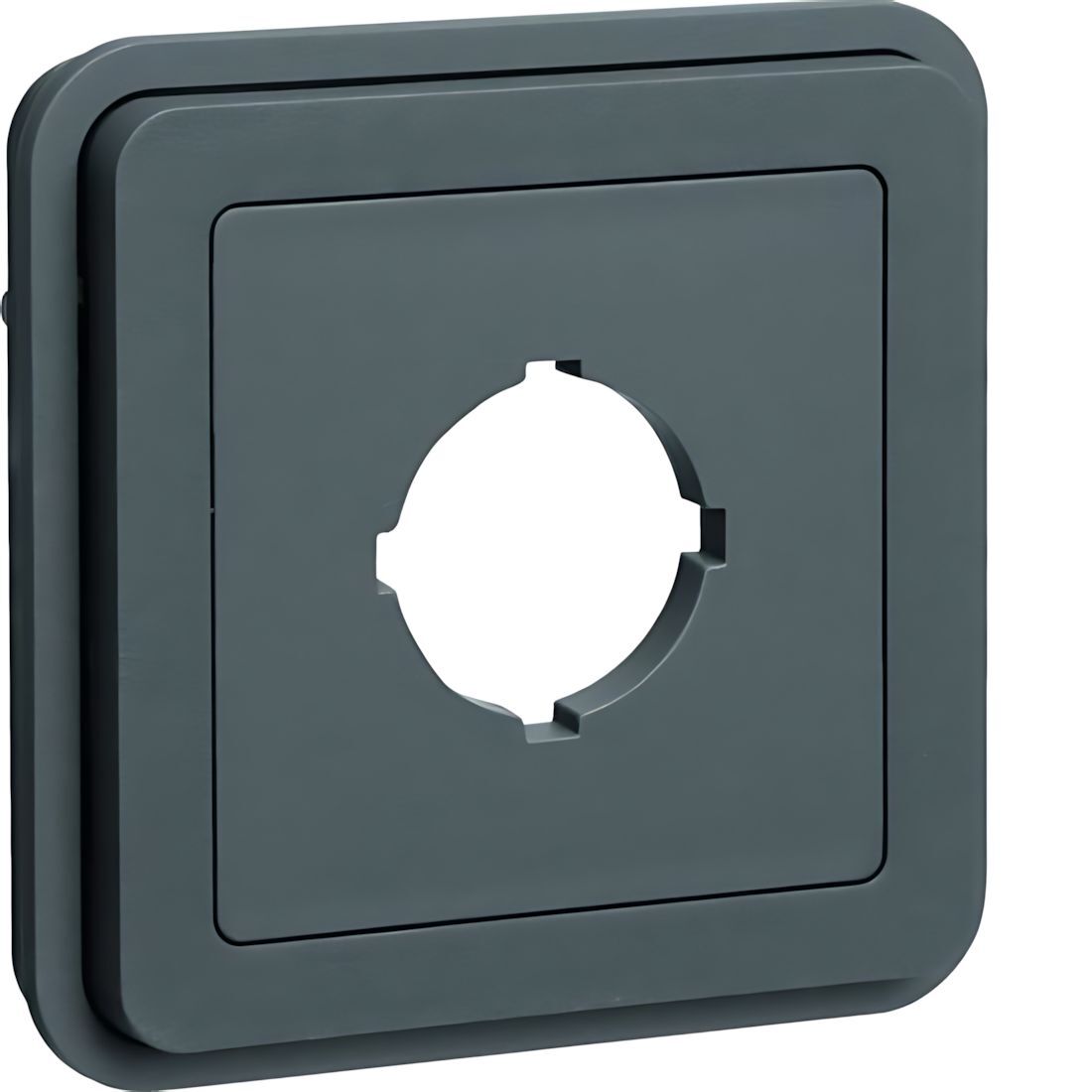 Berker Einsatz 42913505 