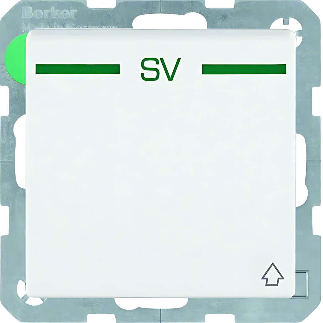 Berker Steckdose 47516039 