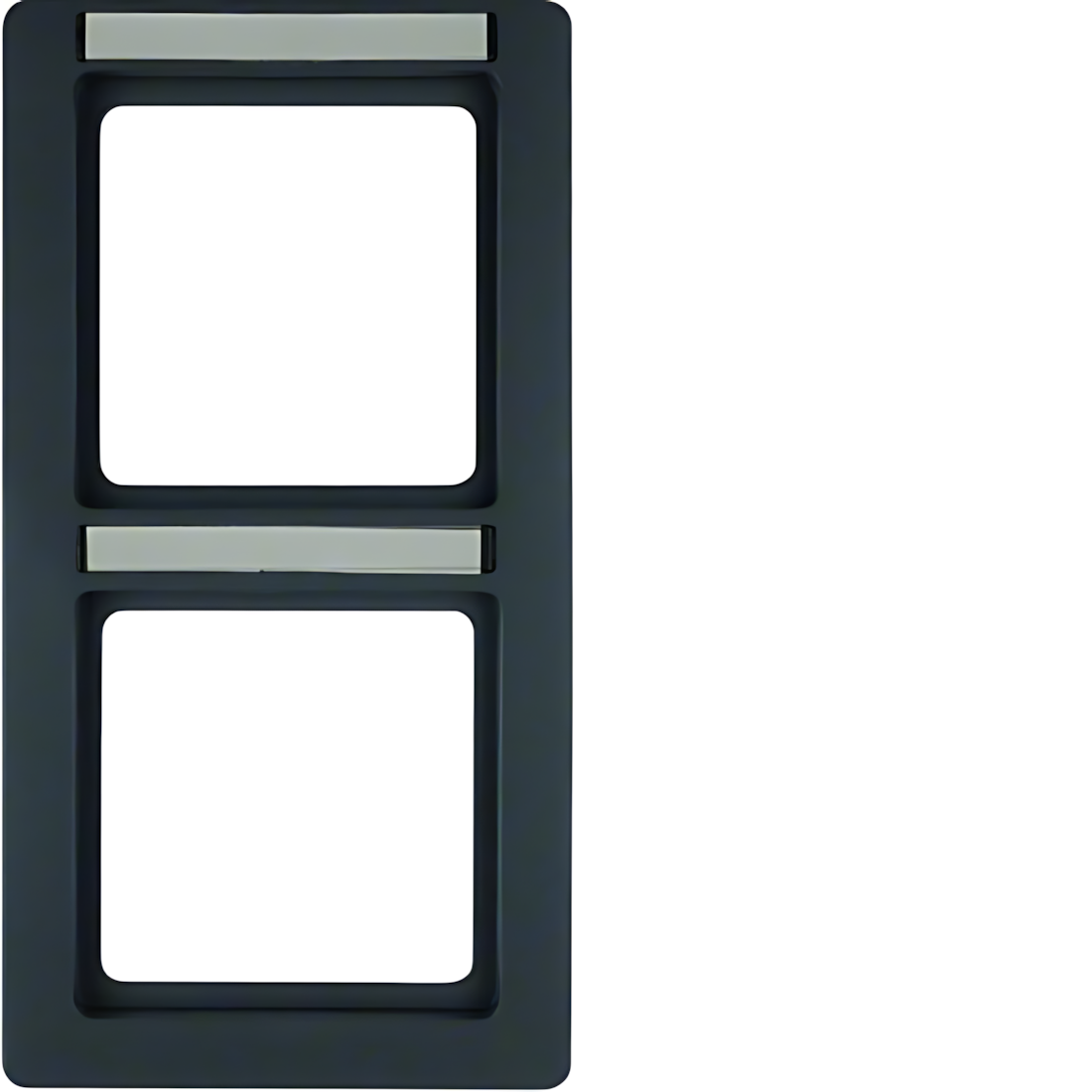 Berker 2fach Rahmen 10126016 