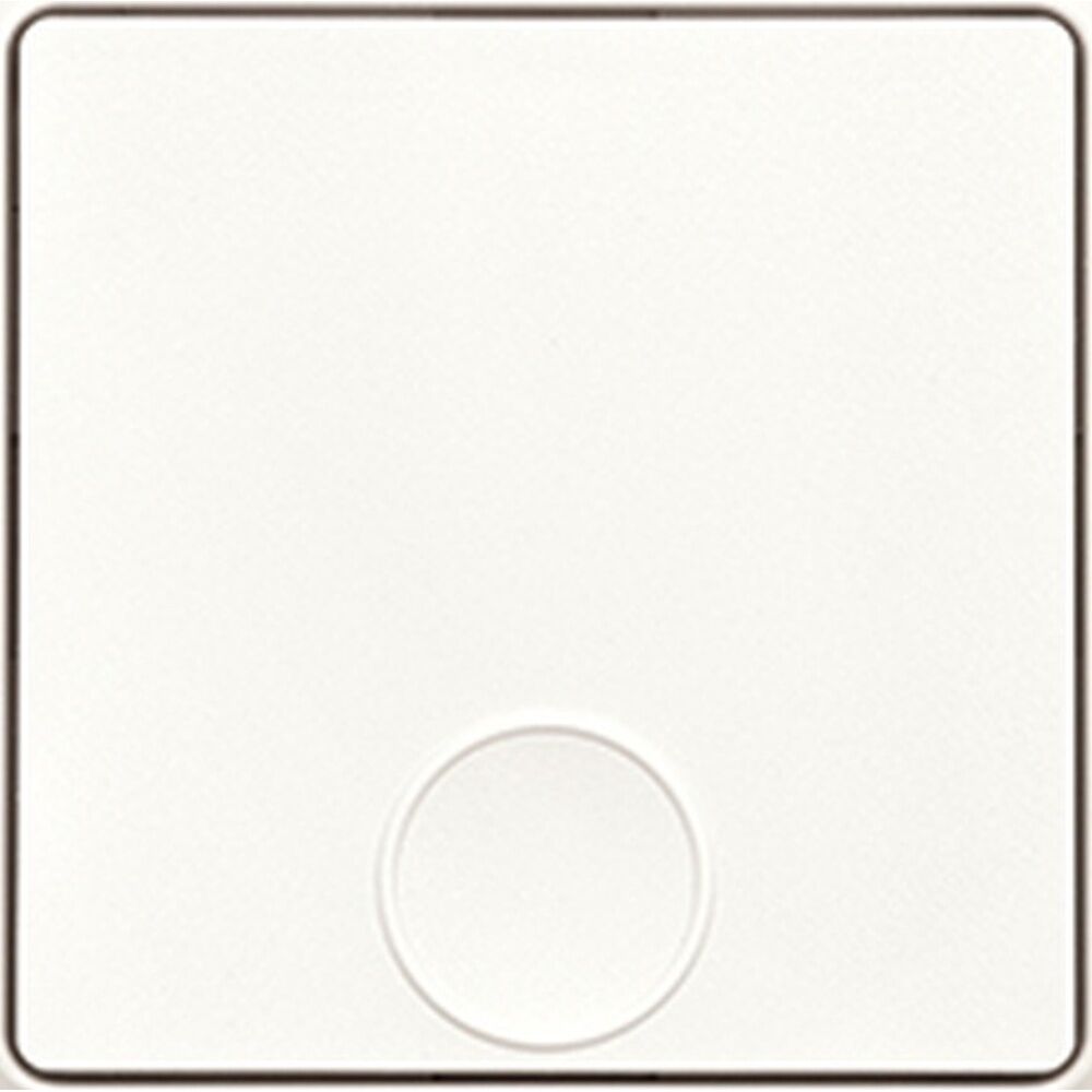 ELTAKO Funktaster 30055713 Typ F1T55E-pm 