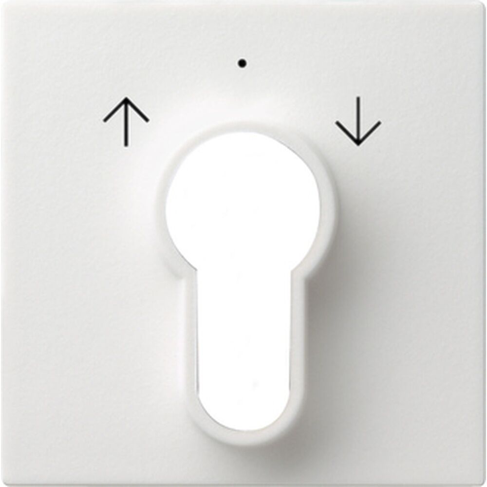 Gira Abdeckung Schlüsselschalter 066403