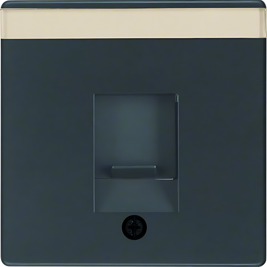 Berker Zentralstück 11706086 