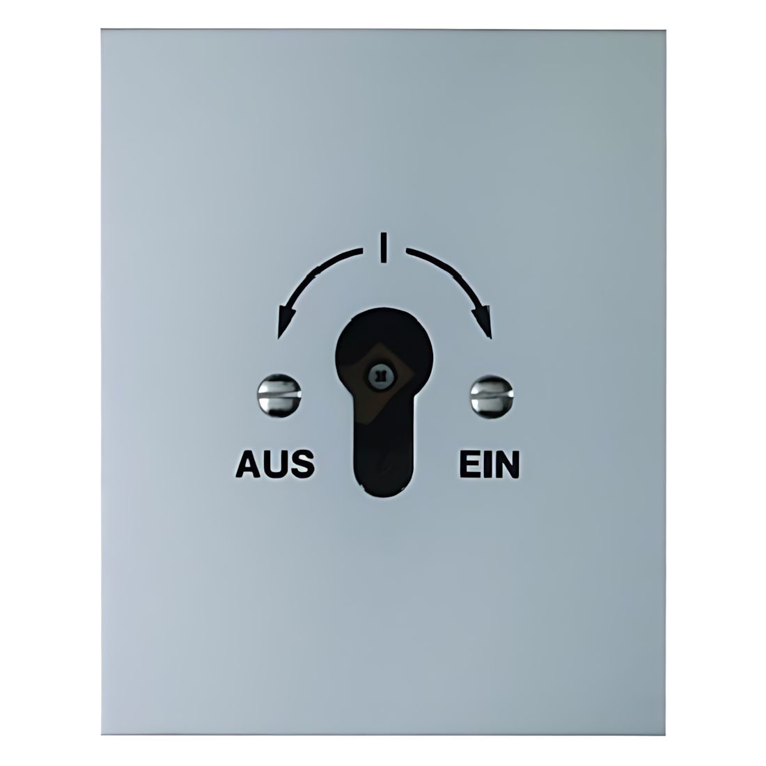 Berker Schlüsselschalter 4416