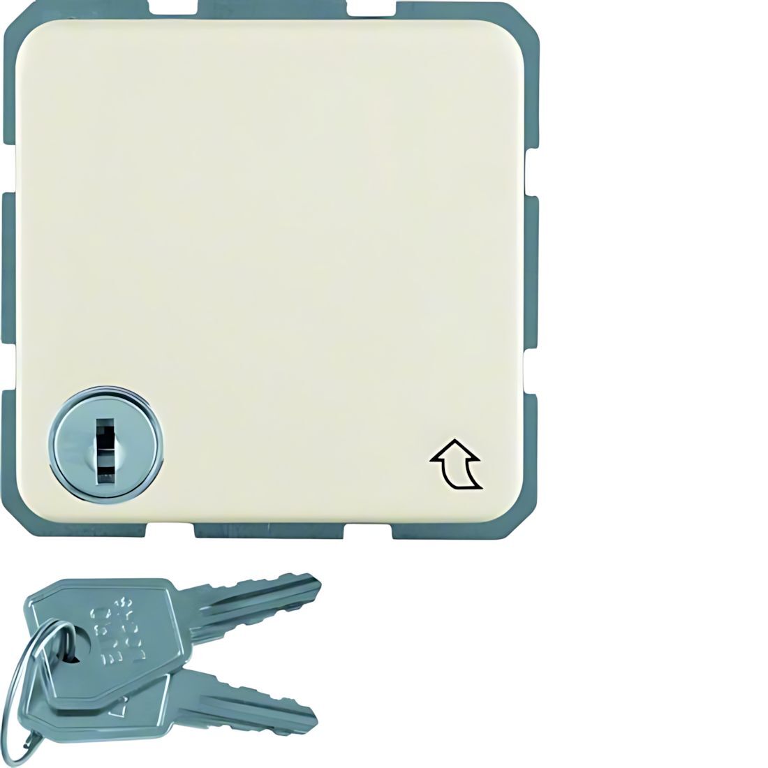 Berker Steckdose 4763