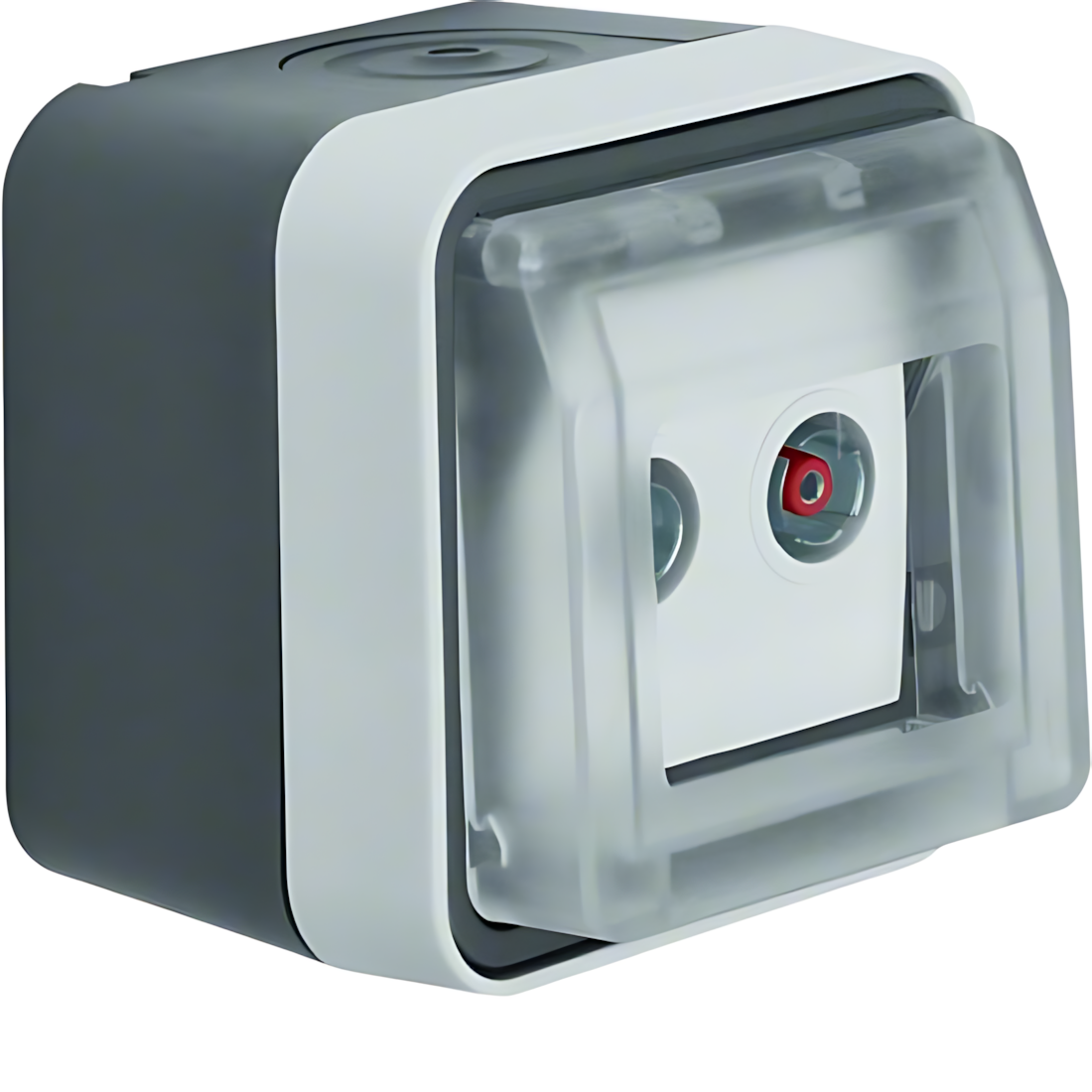 Berker Antennen Steckdose 12033525