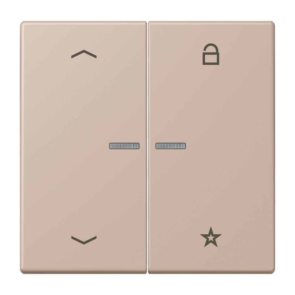 Jung Taster FMLC1701P240