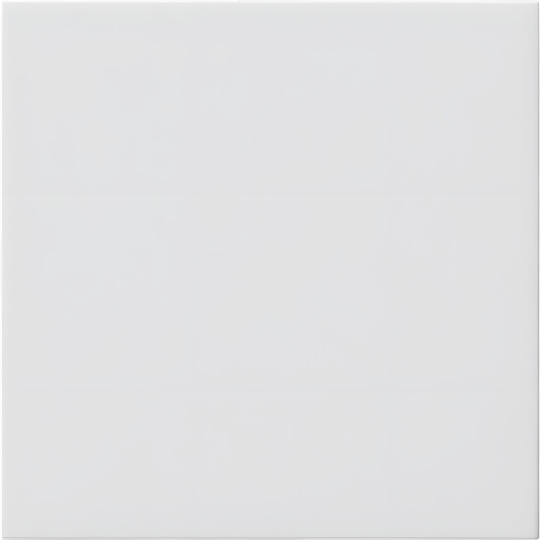 Gira Blindabdeckung 810803