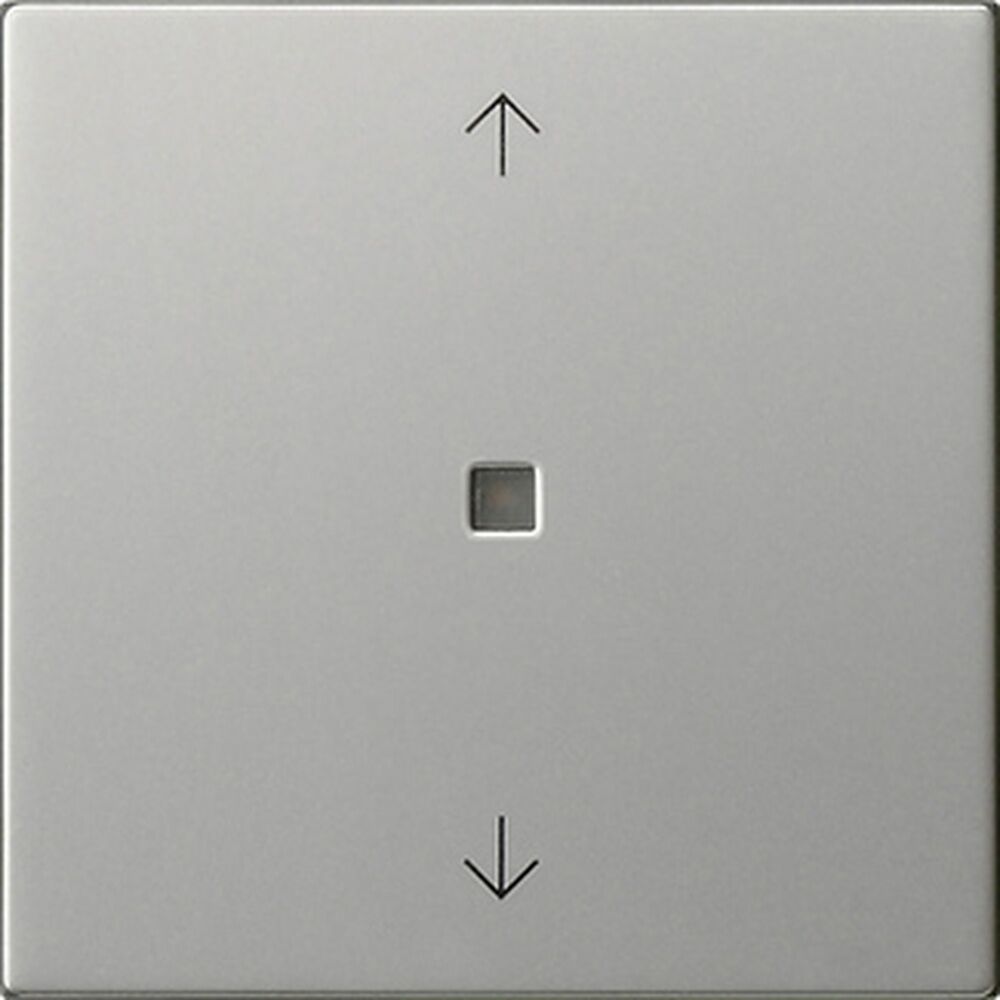 Gira eNet Funk Bedienaufsatz 5494600 