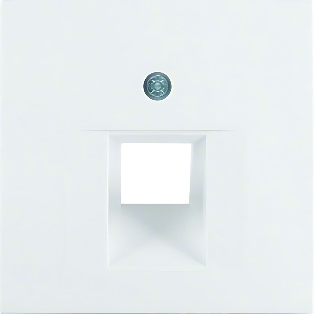 Berker Zentralstück 14071909