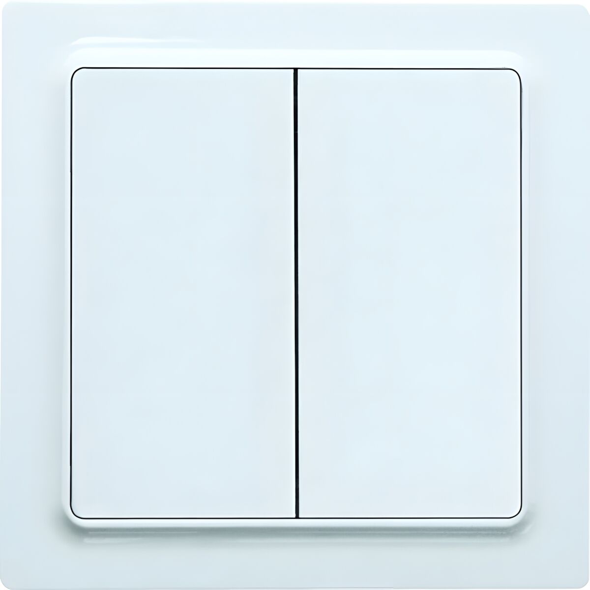 ELTAKO Wipptaster m. Doppelwippe 30055712 Typ W2T55E-wg