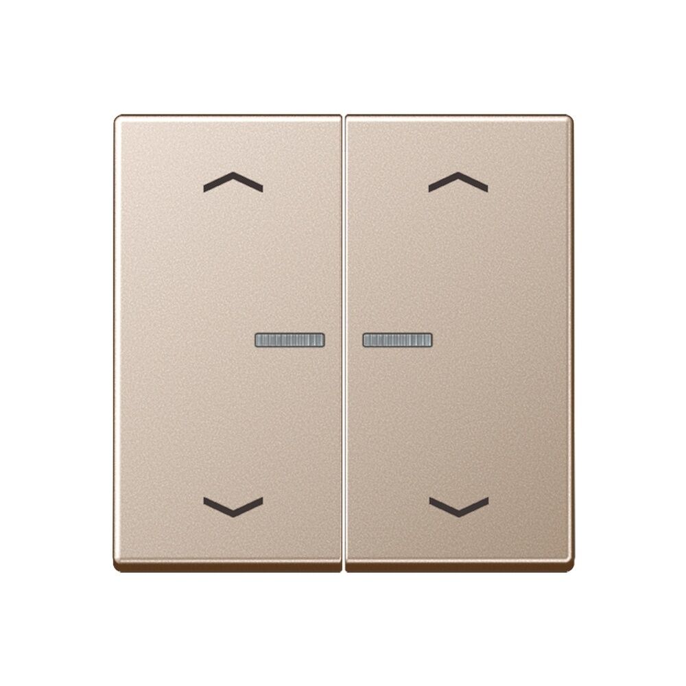 Jung Serienwippe m. Lichtleiter A102KO5PCH