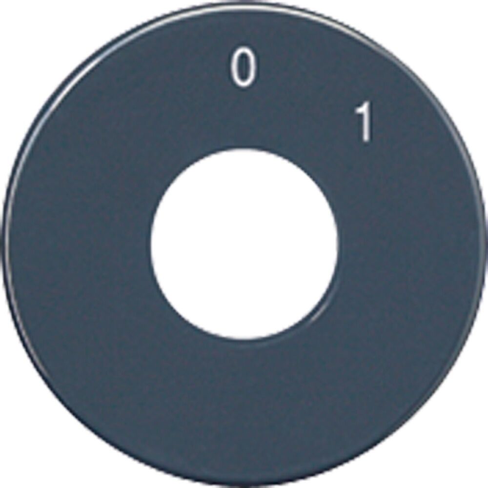 Jung Skalenscheibe SKS 1101-20