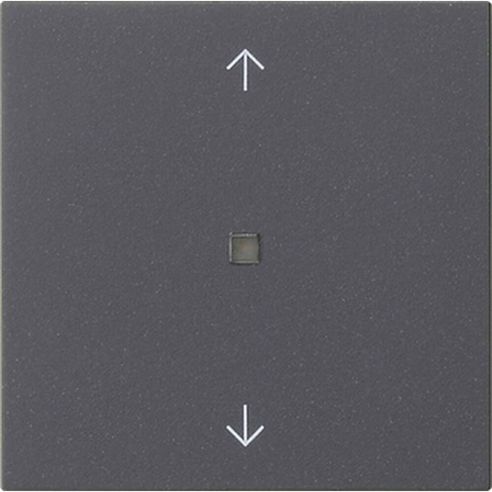 Gira Wippe 1fach 538828