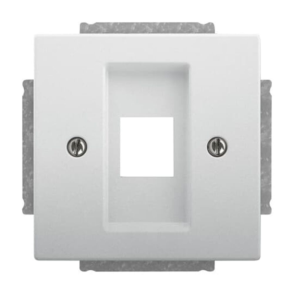 Busch-Jaeger Zentralscheibe 2561-866 Nr. 2CKA001753A0404 