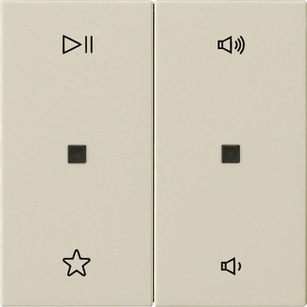 Gira Wippe 2fach 538401