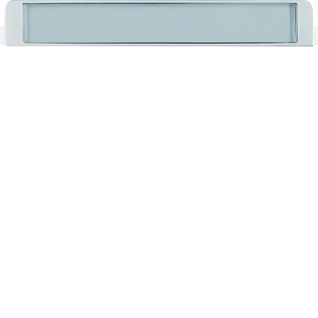 Berker Beschriftungsfeld 19057003 