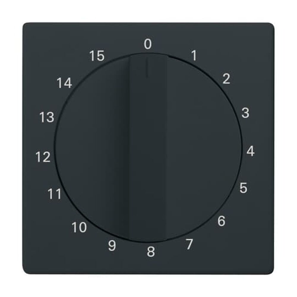 Busch-Jaeger Zentralscheibe 1770-81-103 Nr. 2CKA001753A0255