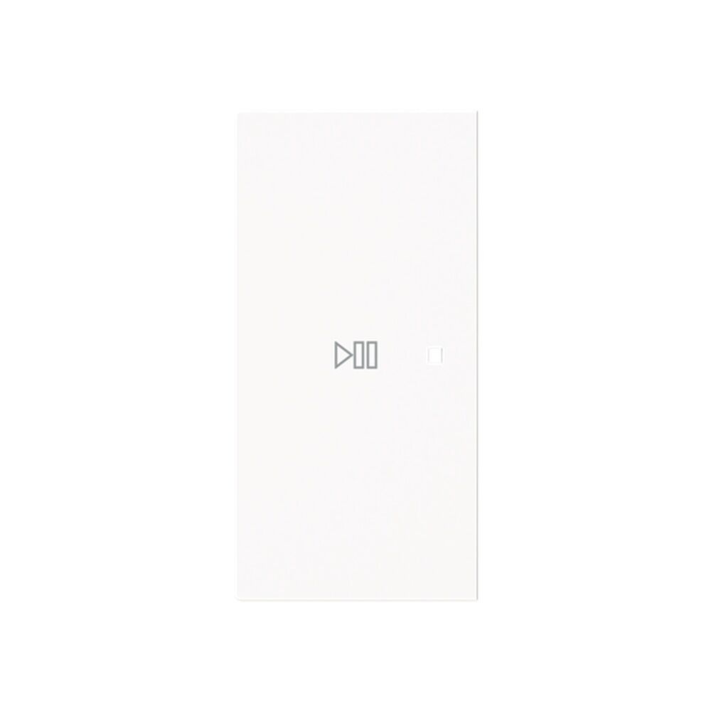 Busch-Jaeger Wippe 6237-21-44G Typ 2CKA006220A0976 