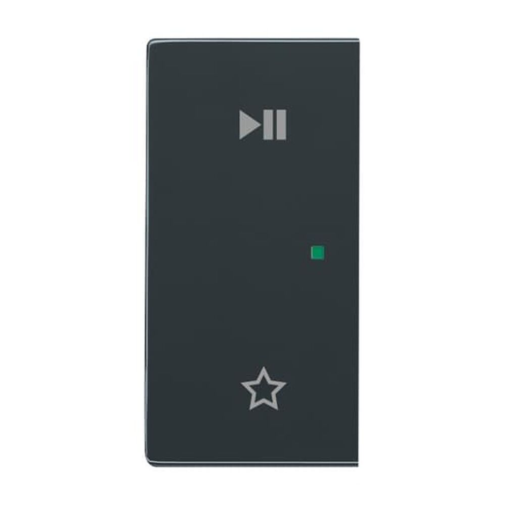 Busch-Jaeger Wippe 6237-21-81 Nr. 2CKA006220A0733