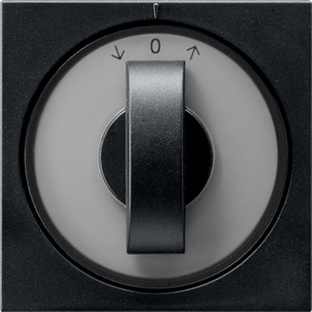 Gira Abdeckung 0666005