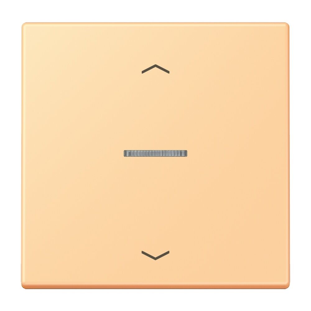 Jung JUNG HOME Taster BTLC17101P258 