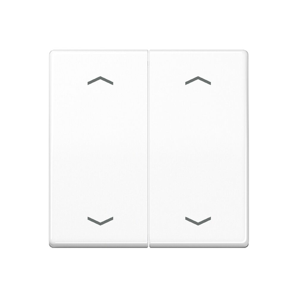 Jung Serienwippe AS102PWW