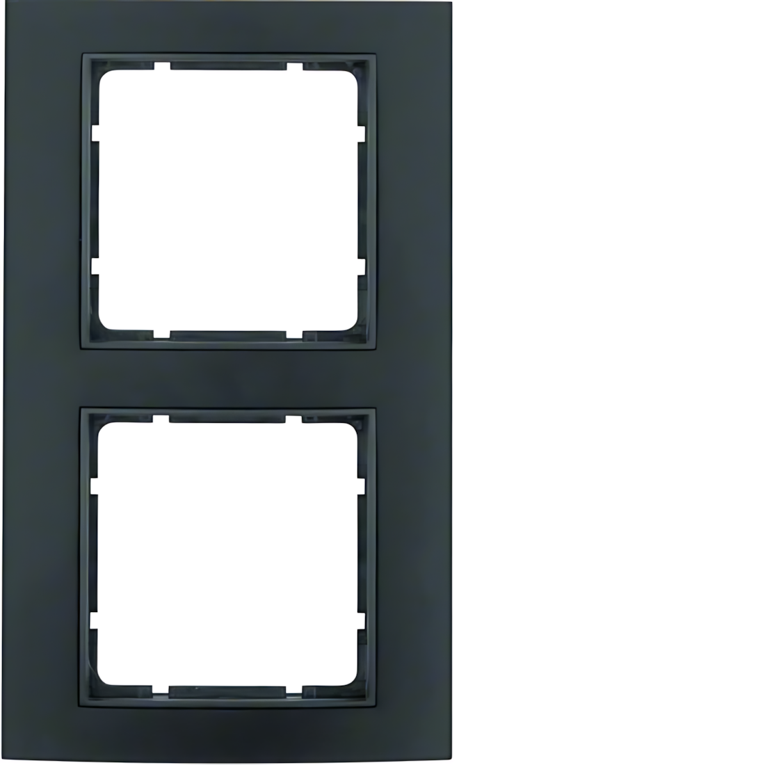 Berker 2fach Rahmen 10123005