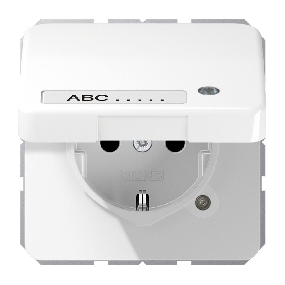 Jung Schutzkontakt Steckdose CD 1520 NAKLKO WW