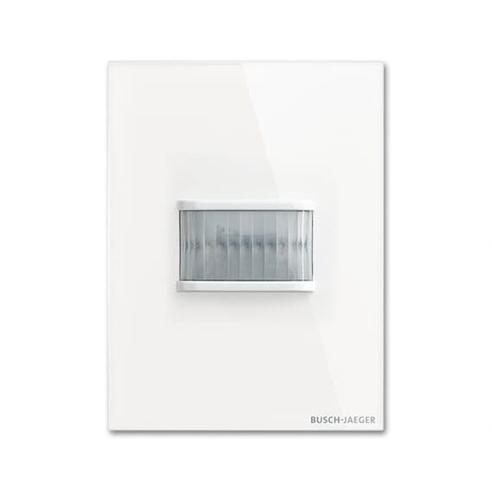 Busch-Jaeger Wächter TBW/U.2.11-CG Nr. 2CKA006300A1620