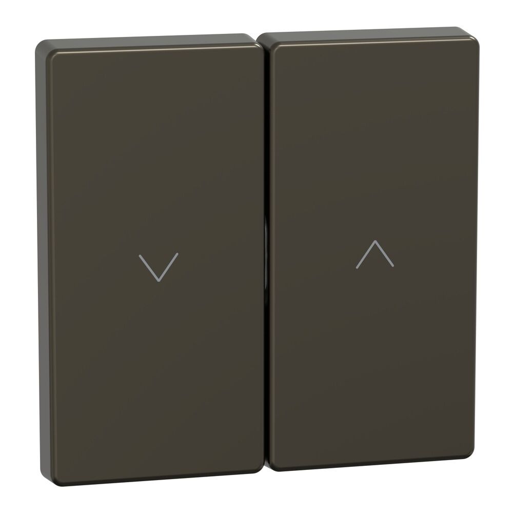 Merten Wippe MEG3855-6052