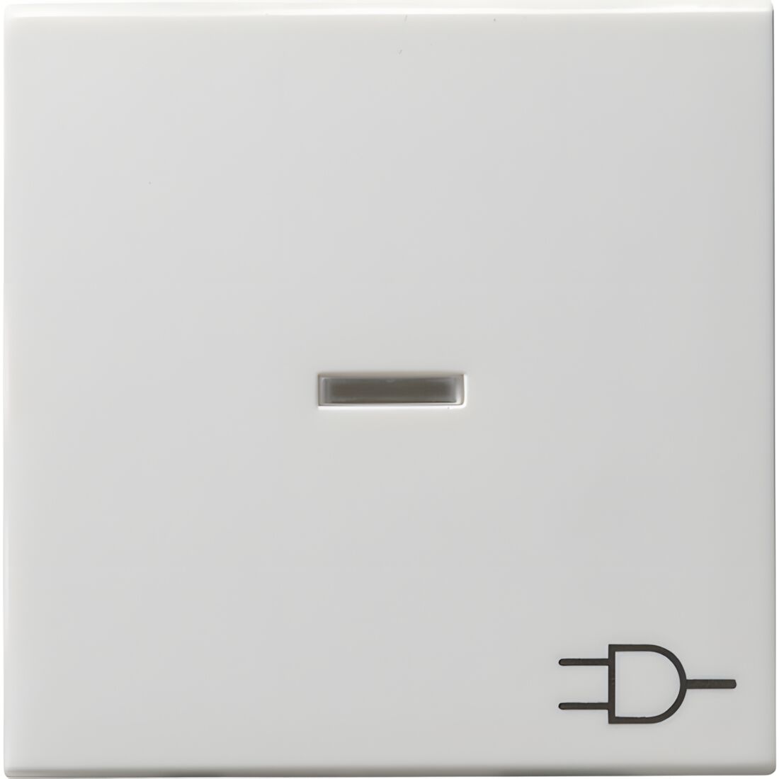 Gira Wippe Kontroll Symbol 020903