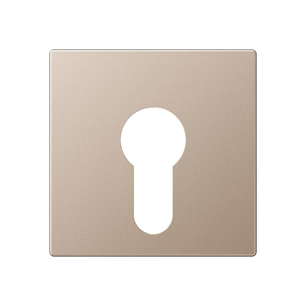 Jung Abdeckung Schlüsselschalter A 525 PL CH