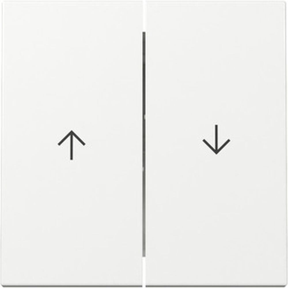 Gira Wippe 2fach 329403