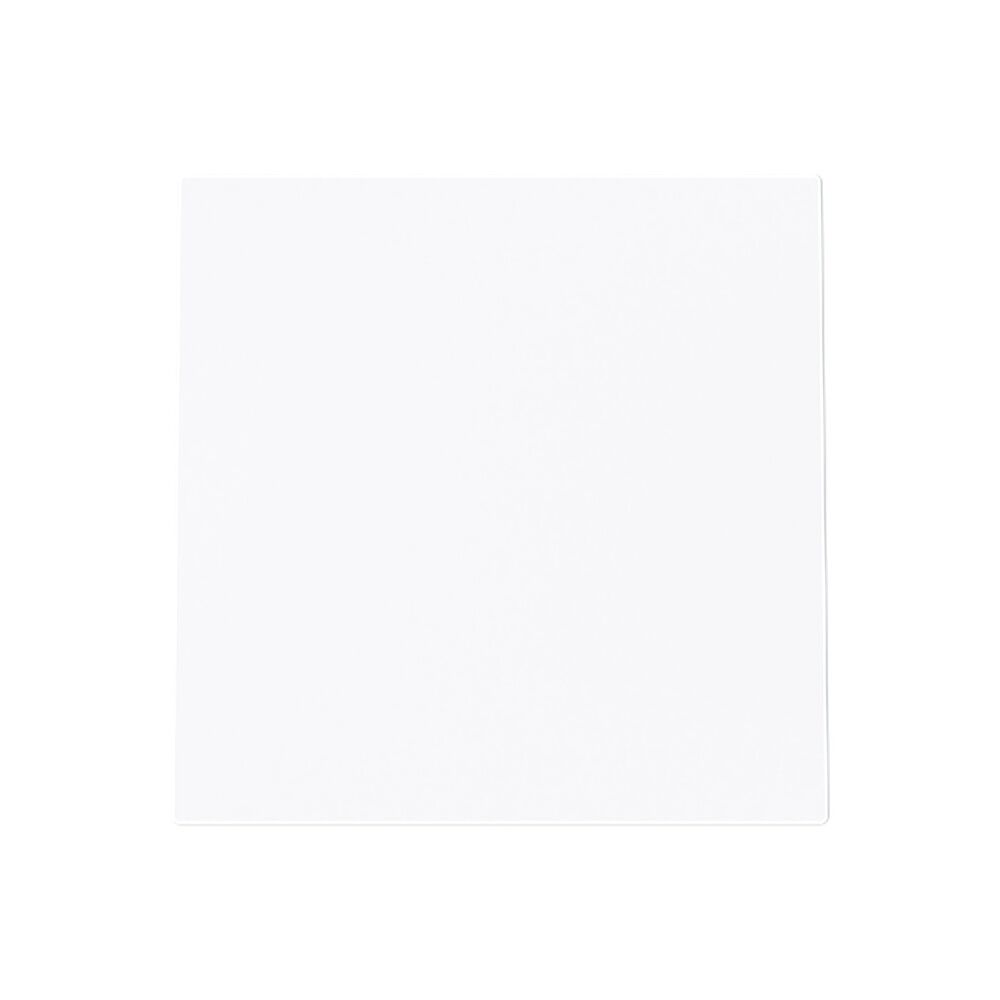 Busch-Jaeger Blindzentralscheibe 1749-44G Typ 2CKA001710A4248