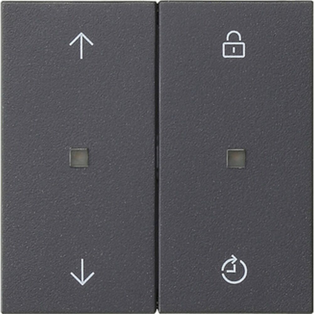 Gira eNet Funk Bedienaufsatz 549228