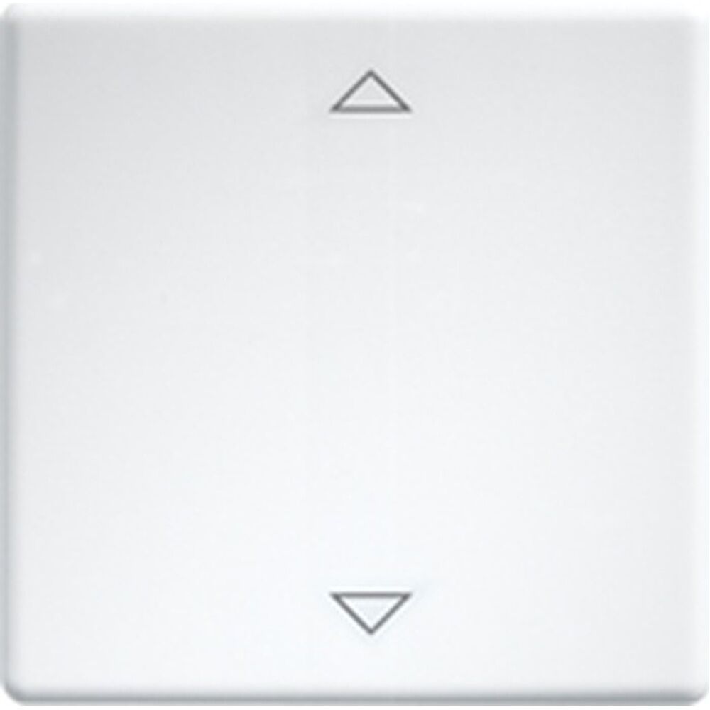 ELTAKO Wippe 30000982 Typ W-FT55-rw+2P