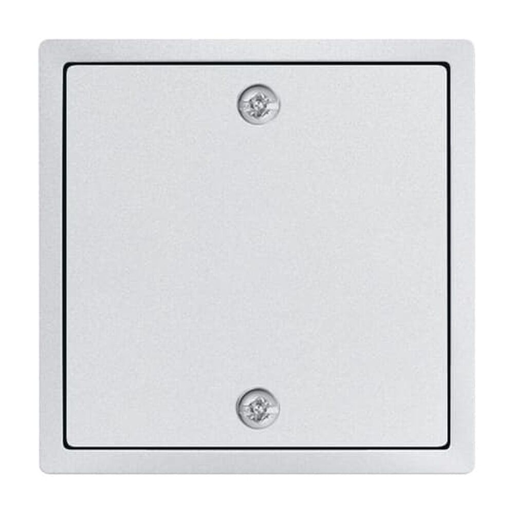 Busch-Jaeger Zentralscheibe 1796-83 Nr. 2CKA001753A0310