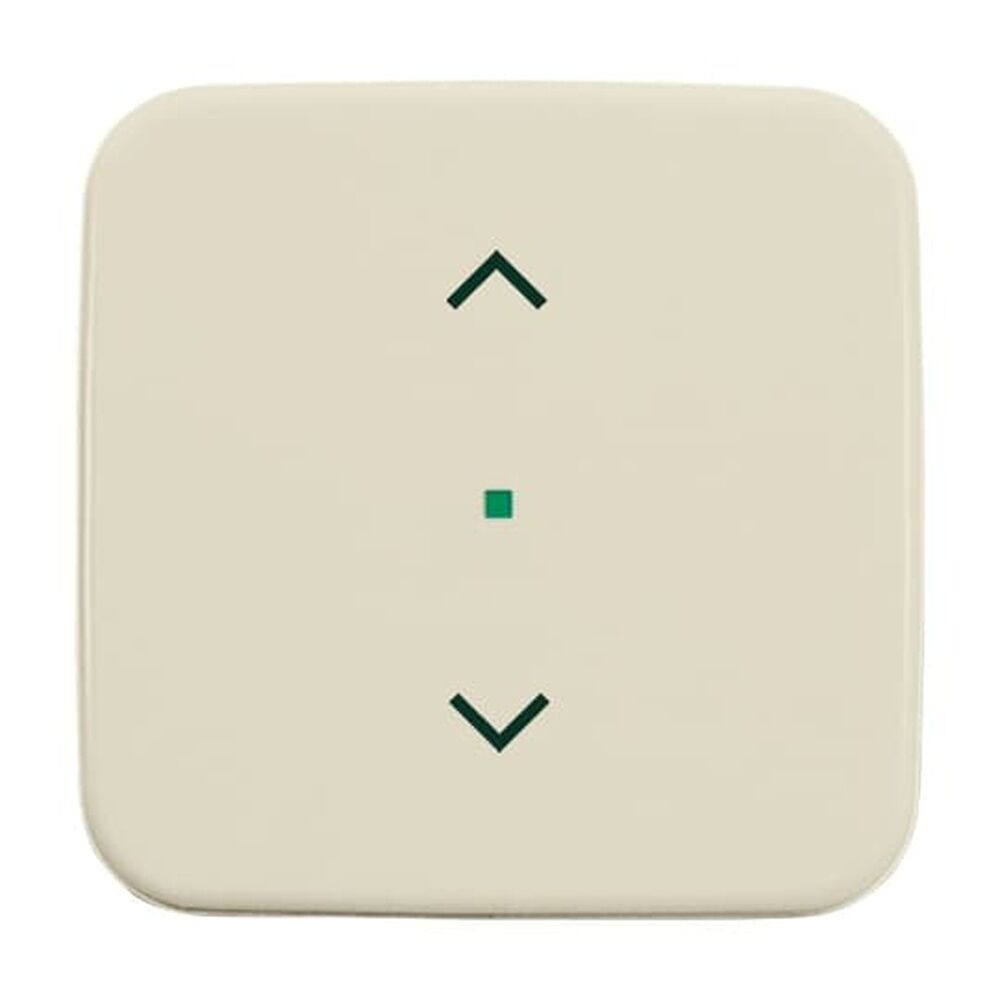 Busch-Jaeger Wippe 6232-10-212 Nr. 2CKA006220A0081