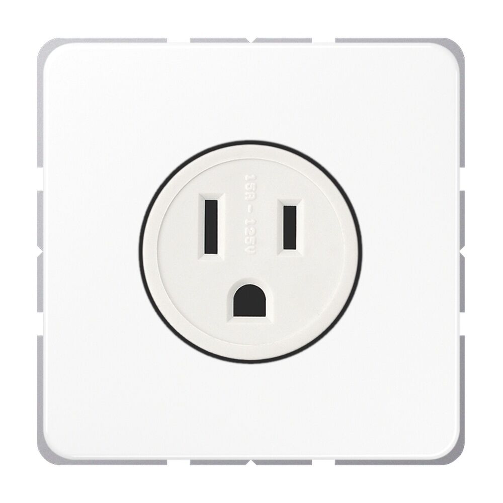 Jung Nema Steckdose CD 521-15 WW