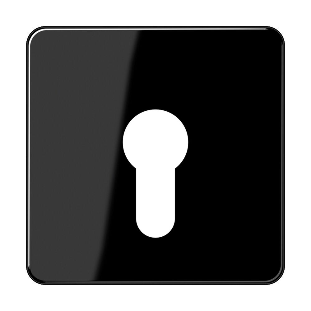 Jung Abdeckung Schlüsselschalter CD 525 SW