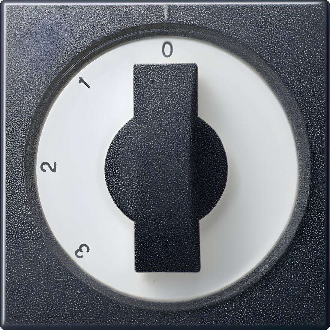 Gira Abdeckung Knebel 066928