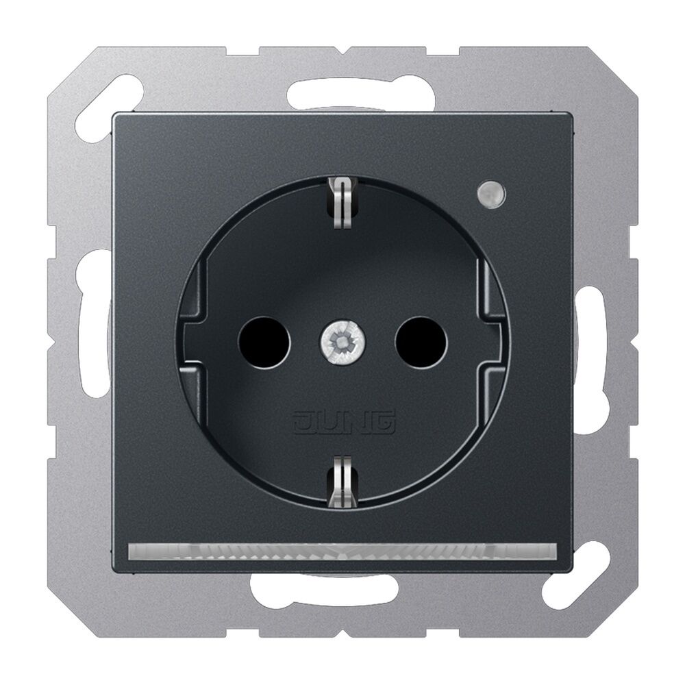 Jung SCHUKO Steckdose A1520-OANMLNW