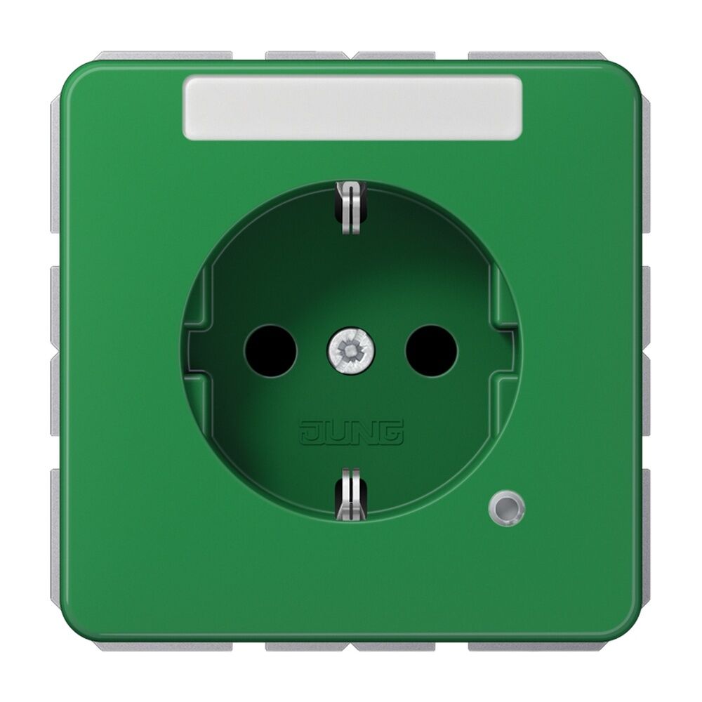 Jung Schutzkontakt Steckdose CD 1520 BFNAKO GN