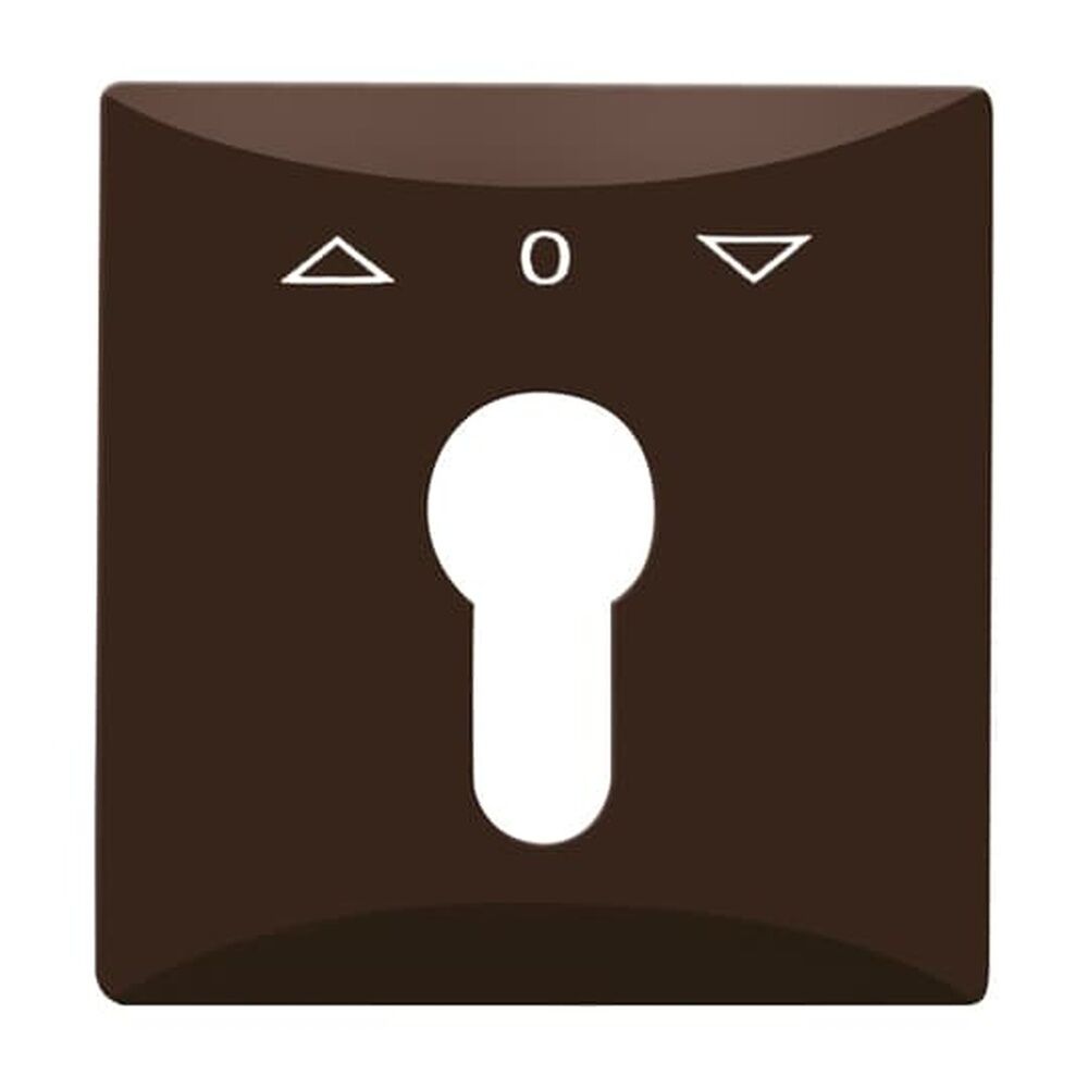 Busch-Jaeger Zentralscheibe 2155 PZ-31 Nr. 2CKA001710A3803 